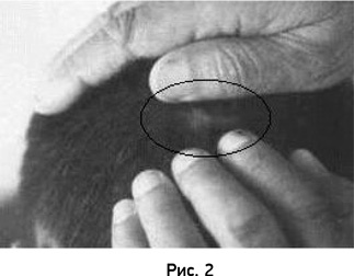 Иллюстрация к книге — Твой выбор в большой игре. Первый шаг [i_003.jpg]