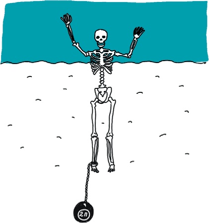 Иллюстрация к книге — От динозавра до компота. Ученые отвечают на 100 (и еще 8) вопросов обо всем [i_010.jpg]