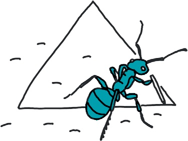 Иллюстрация к книге — От динозавра до компота. Ученые отвечают на 100 (и еще 8) вопросов обо всем [i_105.jpg]