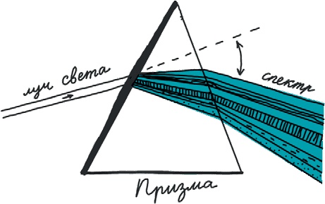 Иллюстрация к книге — От динозавра до компота. Ученые отвечают на 100 (и еще 8) вопросов обо всем [i_106.jpg]