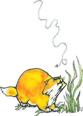 Иллюстрация к книге — Тайны анатомии [i_001.jpg]