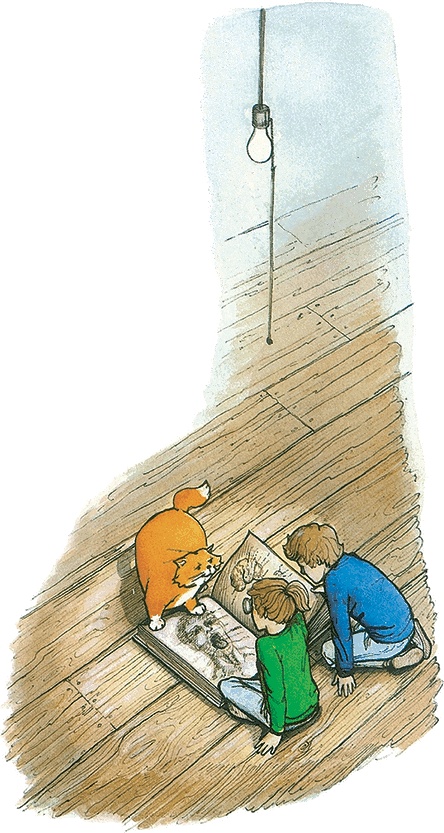 Иллюстрация к книге — Тайны анатомии [i_008.jpg]