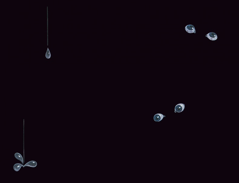 Иллюстрация к книге — Тайны анатомии [i_009.jpg]