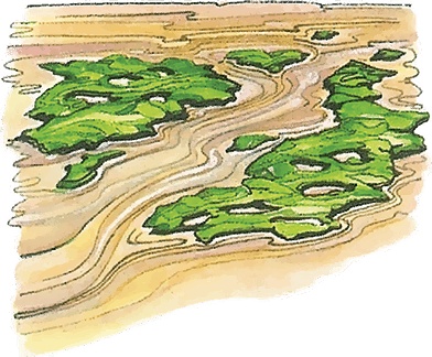 Иллюстрация к книге — Тайны анатомии [i_021.jpg]