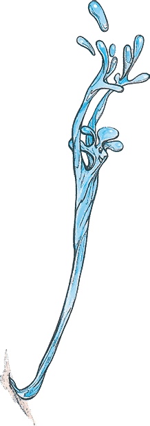 Иллюстрация к книге — Тайны анатомии [i_024.jpg]