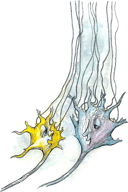 Иллюстрация к книге — Тайны анатомии [i_065.jpg]