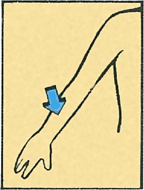 Иллюстрация к книге — Тайны анатомии [i_068.jpg]