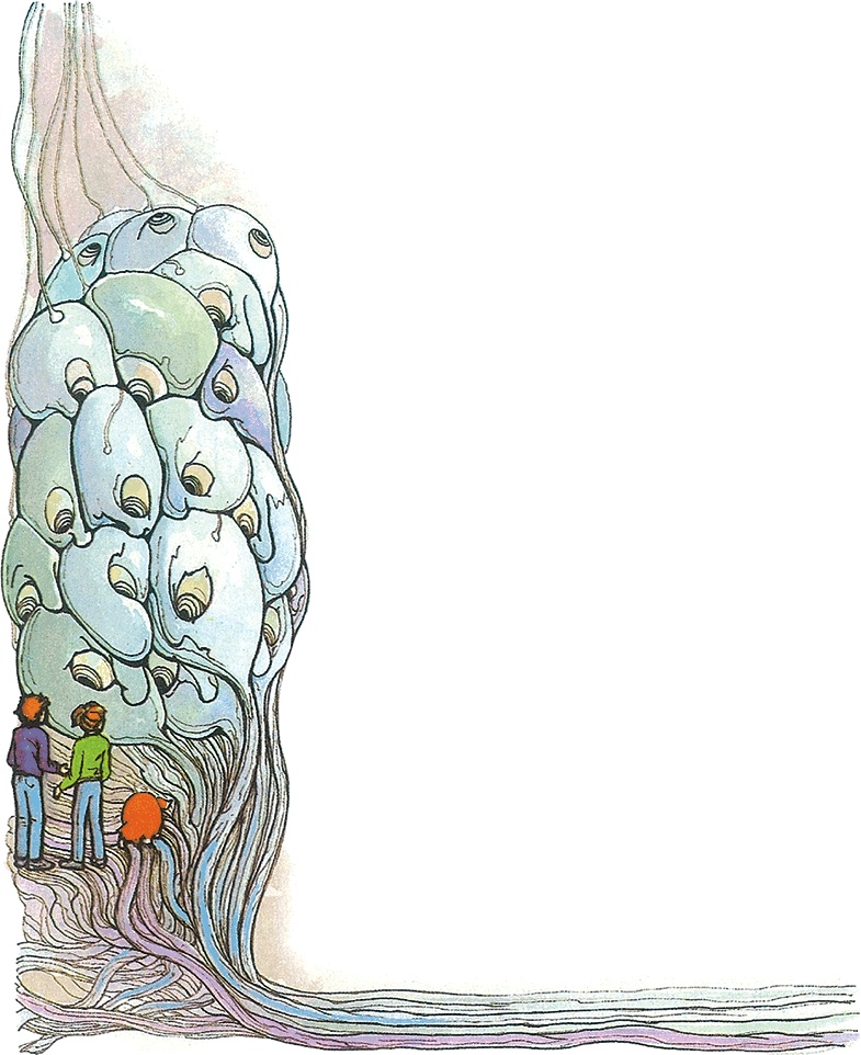 Иллюстрация к книге — Тайны анатомии [i_075.jpg]