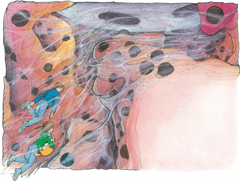 Иллюстрация к книге — Тайны анатомии [i_082.jpg]