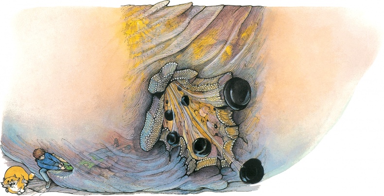 Иллюстрация к книге — Тайны анатомии [i_086.jpg]