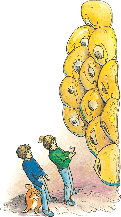 Иллюстрация к книге — Тайны анатомии [i_088.jpg]