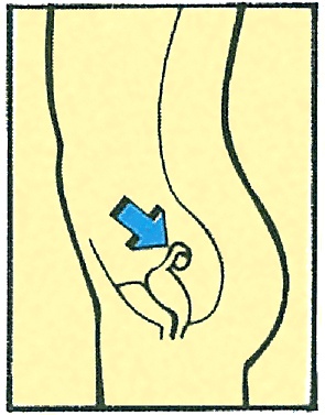 Иллюстрация к книге — Тайны анатомии [i_093.jpg]