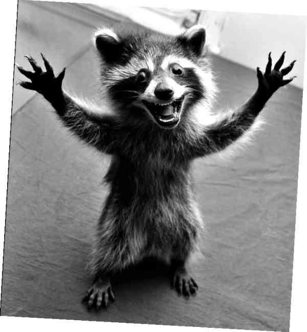 Иллюстрация к книге — Безумно счастливые. Невероятно смешные рассказы о нашей обычной жизни [i_002.jpg]