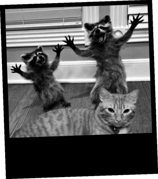 Иллюстрация к книге — Безумно счастливые. Невероятно смешные рассказы о нашей обычной жизни [i_004.jpg]