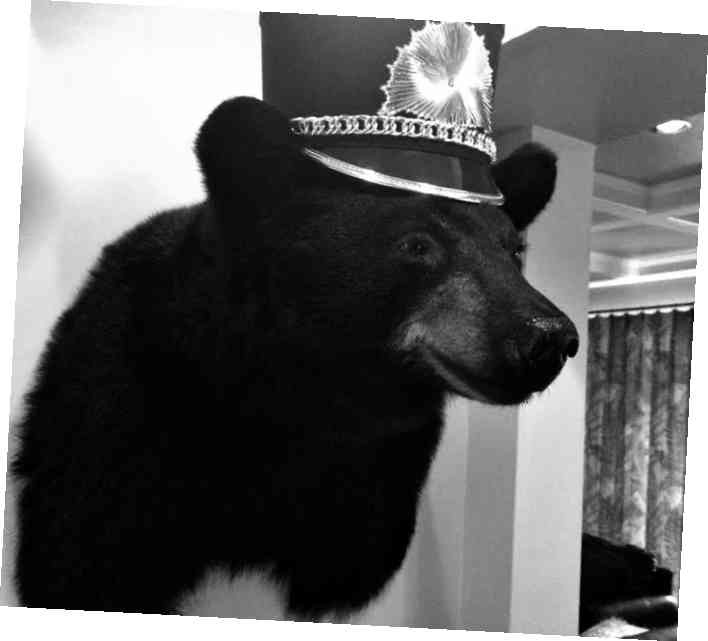 Иллюстрация к книге — Безумно счастливые. Невероятно смешные рассказы о нашей обычной жизни [i_006.jpg]