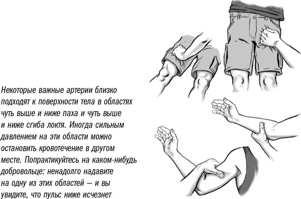 Иллюстрация к книге — Первая помощь своими руками. Если скорая не спешит [i_008.jpg]