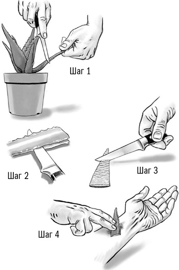 Иллюстрация к книге — Первая помощь своими руками. Если скорая не спешит [i_014.jpg]