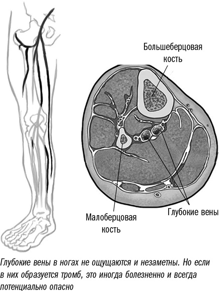 Иллюстрация к книге — Первая помощь своими руками. Если скорая не спешит [i_057.jpg]