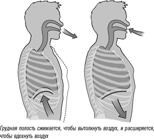 Иллюстрация к книге — Первая помощь своими руками. Если скорая не спешит [i_060.jpg]