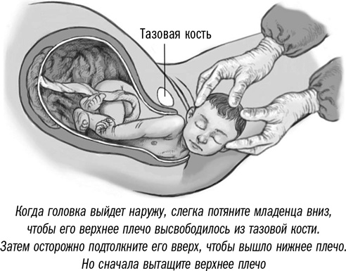 Иллюстрация к книге — Первая помощь своими руками. Если скорая не спешит [i_084.jpg]