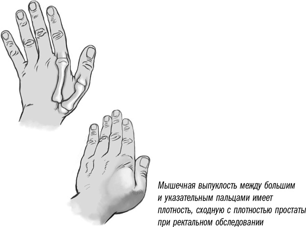 Иллюстрация к книге — Первая помощь своими руками. Если скорая не спешит [i_086.jpg]