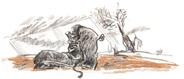 Иллюстрация к книге — Когда я был маленьким, у нас была война [i_027.jpg]