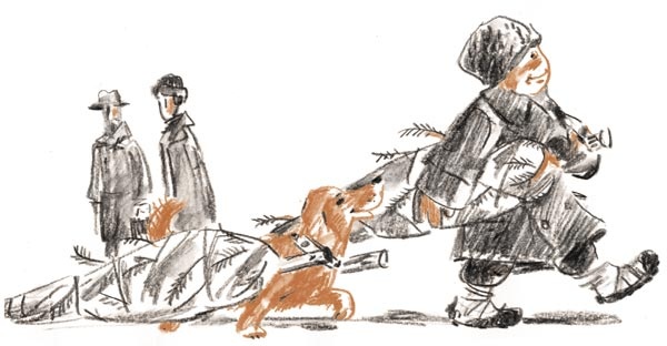 Иллюстрация к книге — Когда я был маленьким, у нас была война [i_061.jpg]