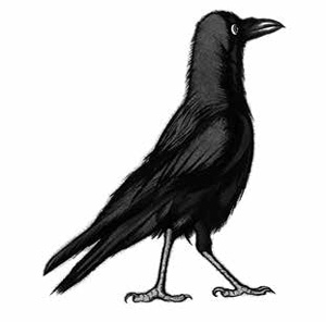 Иллюстрация к книге — Ворон [i_001.jpg]