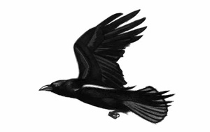 Иллюстрация к книге — Ворон [i_002.jpg]