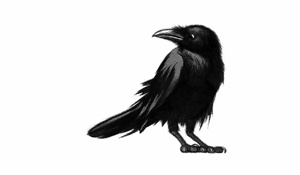 Иллюстрация к книге — Ворон [i_006.jpg]