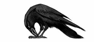 Иллюстрация к книге — Ворон [i_007.jpg]