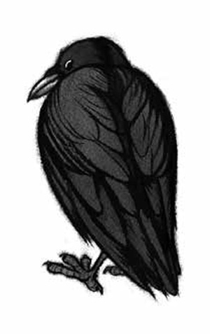 Иллюстрация к книге — Ворон [i_010.jpg]