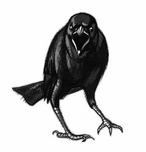 Иллюстрация к книге — Ворон [i_011.jpg]