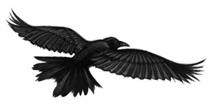 Иллюстрация к книге — Ворон [i_014.jpg]