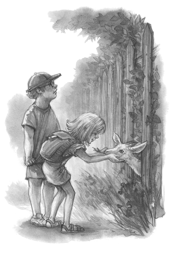 Иллюстрация к книге — Домик над обрывом [i_002.jpg]