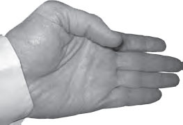 Иллюстрация к книге — Ба-Дуань-Цзинь (Восемь кусков парчи) [_100.jpg]