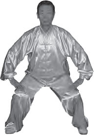 Иллюстрация к книге — Ба-Дуань-Цзинь (Восемь кусков парчи) [_125.jpg]