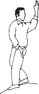 Иллюстрация к книге — Ба-Дуань-Цзинь (Восемь кусков парчи) [_141.jpg]