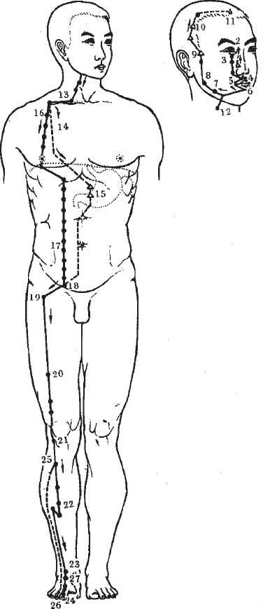 Иллюстрация к книге — Ба-Дуань-Цзинь (Восемь кусков парчи) [_41.jpg]