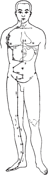 Иллюстрация к книге — Ба-Дуань-Цзинь (Восемь кусков парчи) [_45.jpg]