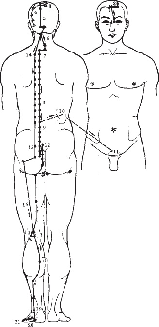 Иллюстрация к книге — Ба-Дуань-Цзинь (Восемь кусков парчи) [_50.jpg]