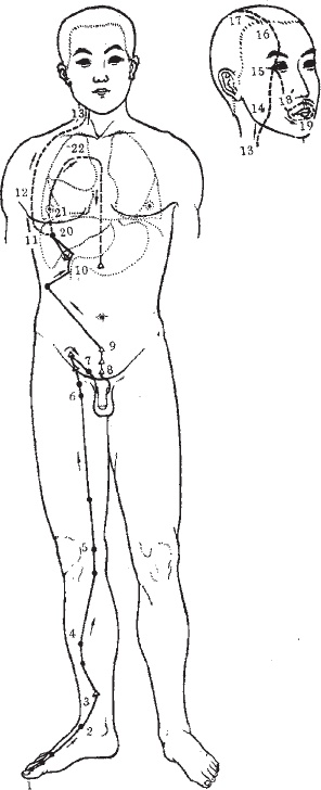 Иллюстрация к книге — Ба-Дуань-Цзинь (Восемь кусков парчи) [_63.jpg]