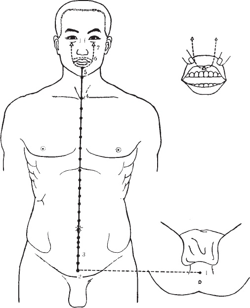 Иллюстрация к книге — Ба-Дуань-Цзинь (Восемь кусков парчи) [_68.jpg]