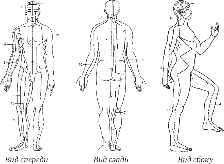 Иллюстрация к книге — Чань-Ми-Гун Цигун [_22.jpg]