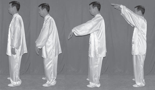 Иллюстрация к книге — Чань-Ми-Гун Цигун [_33.jpg]