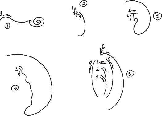 Иллюстрация к книге — Черно-белое Рэй-Ки [_17.jpg]