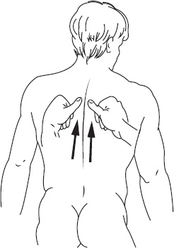 Иллюстрация к книге — Справочник по лечебному массажу и самомассажу. От диагноза к лечению [_18.jpg]