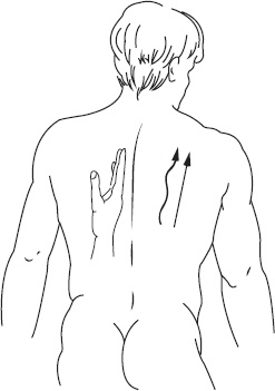 Иллюстрация к книге — Справочник по лечебному массажу и самомассажу. От диагноза к лечению [_19.jpg]