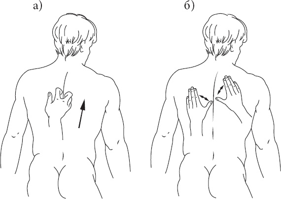 Иллюстрация к книге — Справочник по лечебному массажу и самомассажу. От диагноза к лечению [_20.jpg]