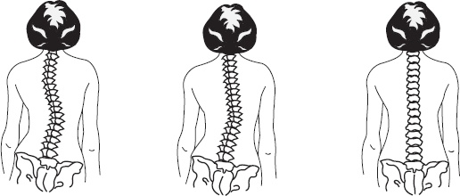 Иллюстрация к книге — Справочник по лечебному массажу и самомассажу. От диагноза к лечению [_22.jpg]